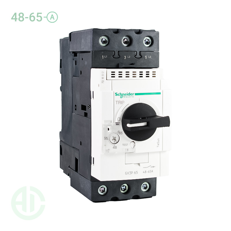 کلید حرارتی MPCB اشنایدر 65 -48 آمپر GV3P65