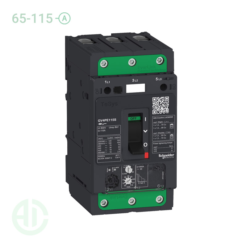 کلید حرارتی MPCB اشنایدر 115 -65 آمپر GV4PE115B